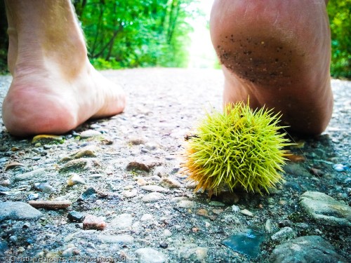 Un exemple de risque encouru par les courent-pieds-nus - mais c'est totalement évitable ;-)