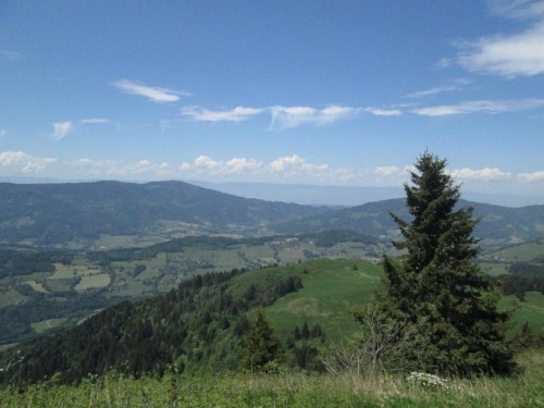 Trail du Massif des Brasses - vu sur le Lac Leman