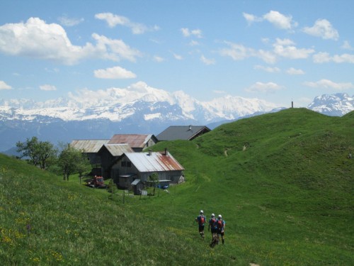 Trail du Massif des Brasses - La Joux