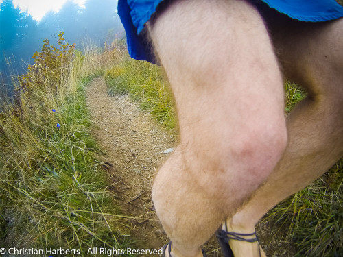 Trail du Massif des Brasses 2015 - Single-track sympa avant la grosse descente...