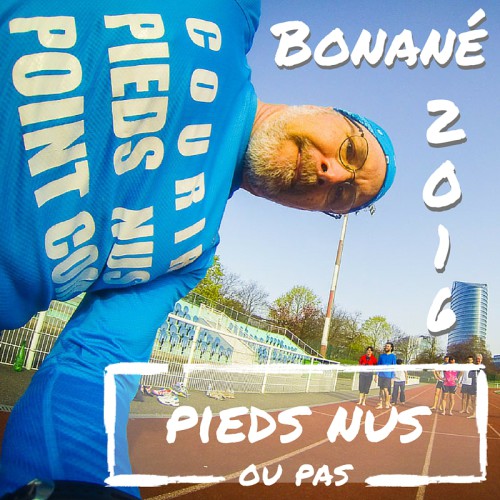 Bonané2016