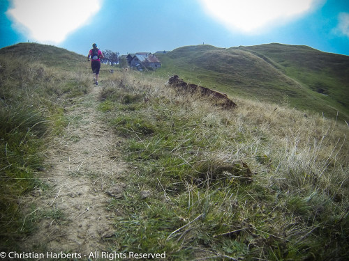 Ecotrail du Massif des Brasses 2016 - Images de la course et du Village avec les membres de la BRS France et Suisse