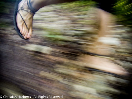 Ecotrail du Massif des Brasses 2016 - Images de la course et du Village avec les membres de la BRS France et Suisse